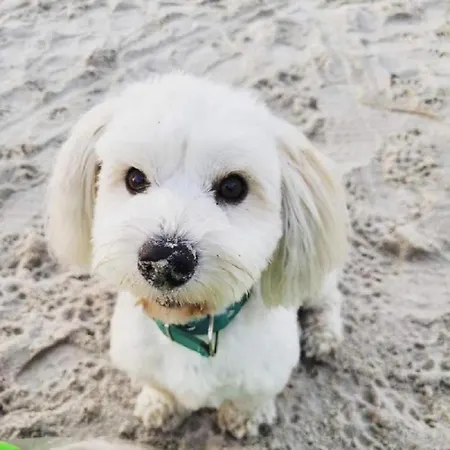 Zakatek Sasanki Casa vacanze *