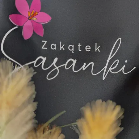 Zakatek Sasanki