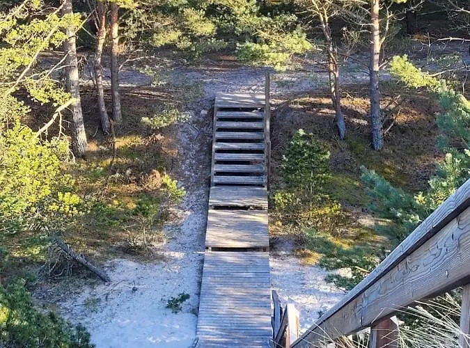 Zakatek Sasanki 鲁比亚托沃