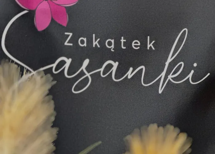 Zakatek Sasanki